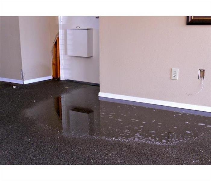 Wet carpet floor
